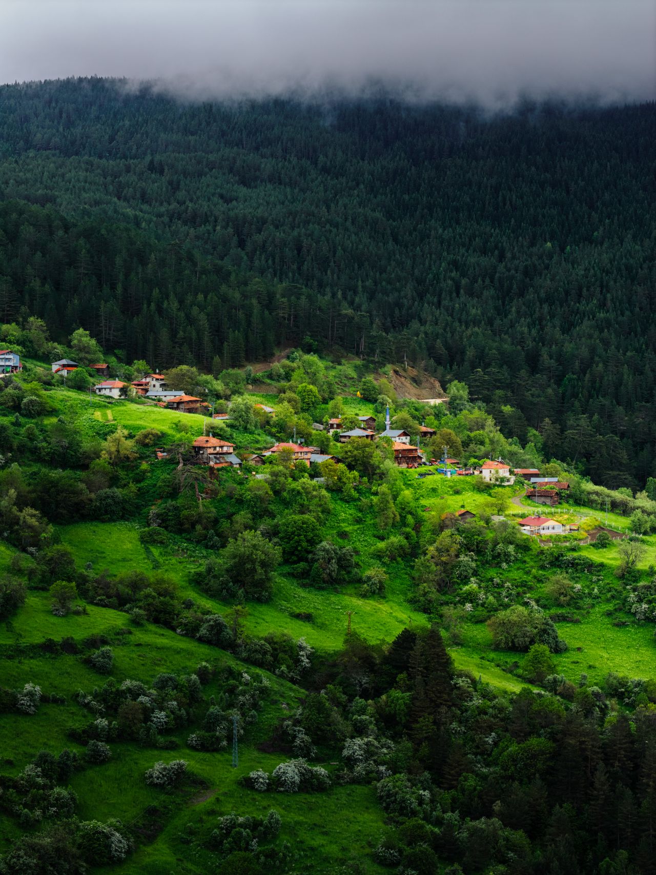 Erfelek Orman Yürüyüş Yolları