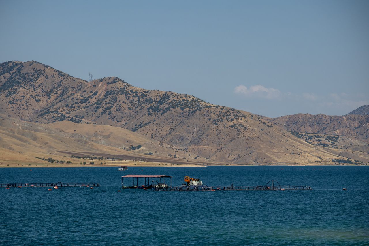Saraydüzü Barajı